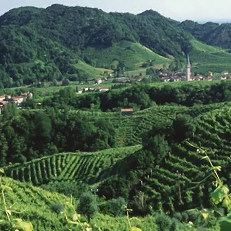 Castrum Di Serravalle 3*